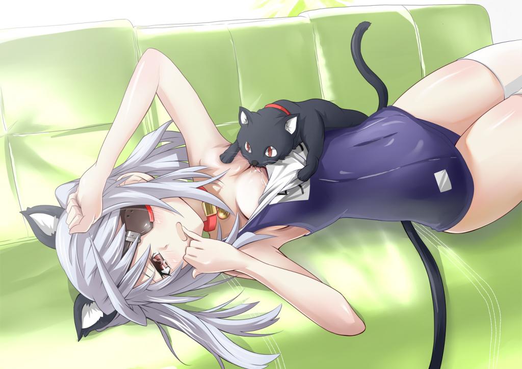 yande179107animal_earscleavageeyepatchinfinite_stratoslaura_bodewignekonekomimis.jpg